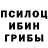 Псилоцибиновые грибы Psilocybine cubensis Luis Rodrigues