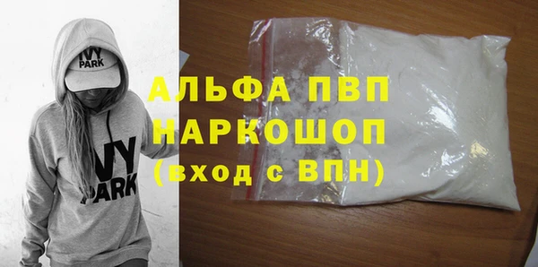 стаф Алзамай