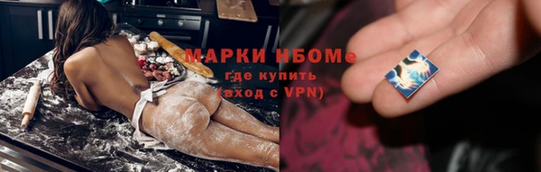 стаф Алзамай