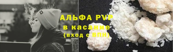 стаф Алзамай