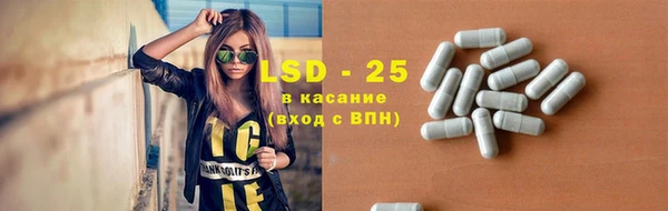 стаф Алзамай