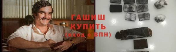 стаф Алзамай