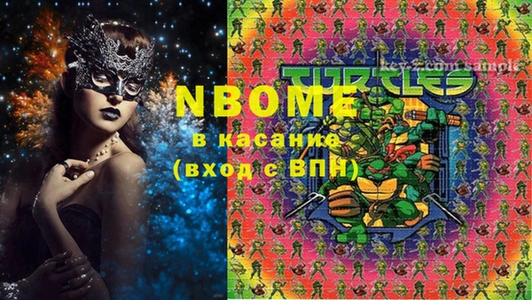стаф Алзамай