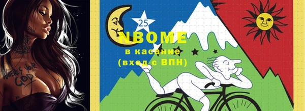 стаф Алзамай