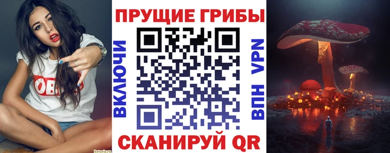 Псилоцибиновые грибы GOLDEN TEACHER  Кирс 