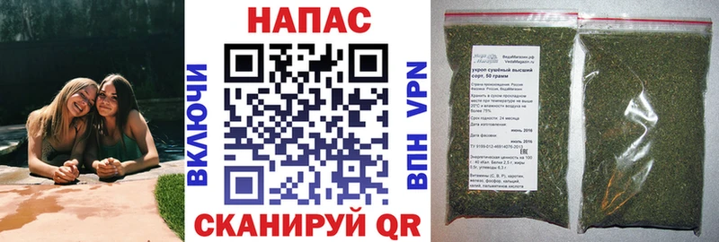 Конопля гибрид  блэк спрут зеркало  Кирс 